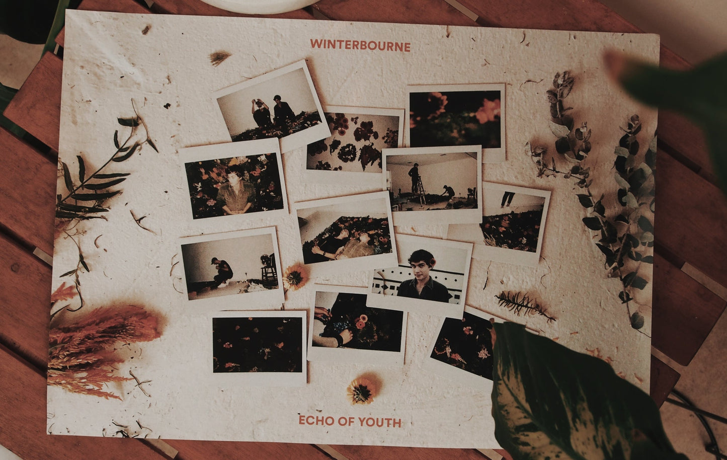 Winterbourne_Polaroid Poster A3